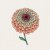 Zinnia, Queen Lime Orange