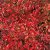 Abelia Pinky Bells ®, Abelia, C5