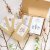 Fröbox Wild Bouqets Soft Apricot Collection