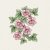 Lejongapsranka Mystic Rose