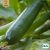 Squash, Black Beauty, Ekologisk