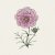 Rosenskära, Double Click Rose Bonbon
