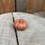 Pumpa Fenja Orange Liten Mix