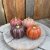 Pumpa Fenja Orange Stor Mix