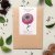 Zinnia, Queen Red Lime