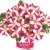 Petunia, Stickling, Amore ™ Pink Hearts