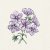 Flox, Sommar-, Sugar Stars