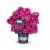 Rhododendron ponticum Grazeasy ® Dark Pink, Rododendron