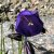 Campanula pulla
