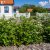 Sorbus mougeotii fk Bälinge E