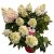 Hydrangea paniculata Bloody Marie ®