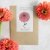 Zinnia, Benary´s Giant Salmon Rose