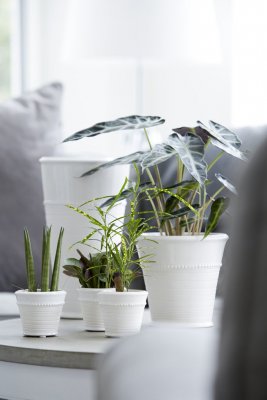 Kruka Livia Vit 14x14cm