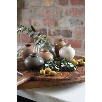 Minivas Eliora Brunmelerad