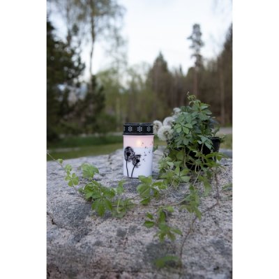 Gravljus Dandelion LED 12cm