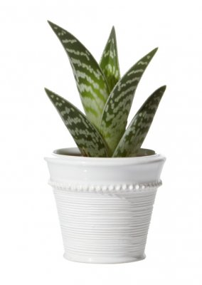 Kruka Livia Vit 8x7cm