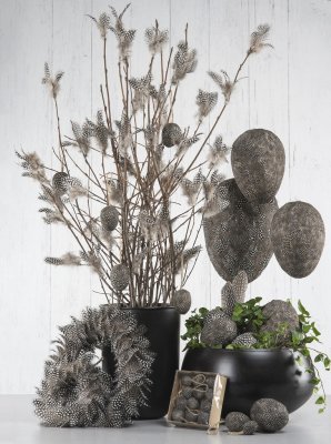 Fjäder Pärlhöns 12-pack