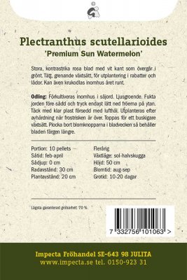 Palettblad, 'Premium Sun Watermelon'