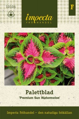 Palettblad, 'Premium Sun Watermelon'