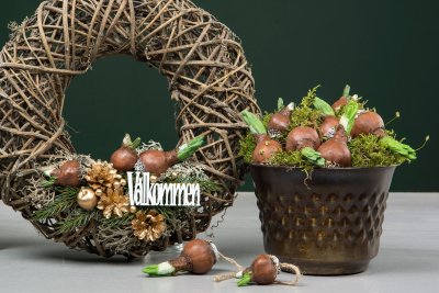 Blomsterlök Stick Brun/grön 9,5cm