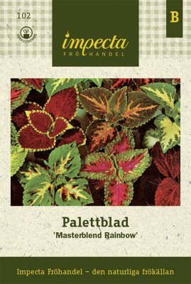 Palettblad, 'Masterblend Rainbow'