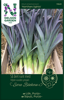 Lök, Purjo-, Northern lights