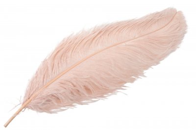 Strutsfjäder Ljusrosa 55-60cm