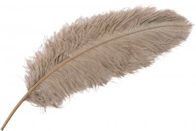 Strutsfjäder Mullvad 60cm