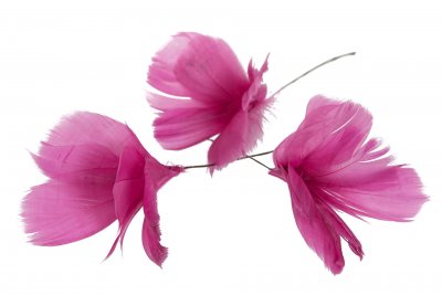 Fjäder Blom 12-pack Cerise