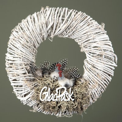 Fjäder Pärlhöns 12-pack