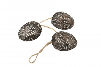Ägg m fjäder Hängsnöre 6cm