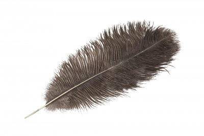 Strutsfjäder Natur 45cm