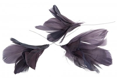 Fjäder Blom 12-pack Lila