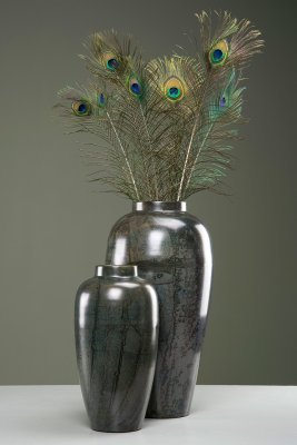 Påfågelfjäder 80-100cm