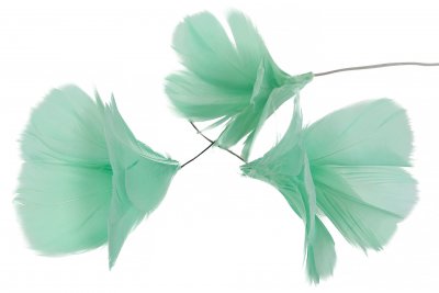 Fjäder Blom 12-pack Turkos