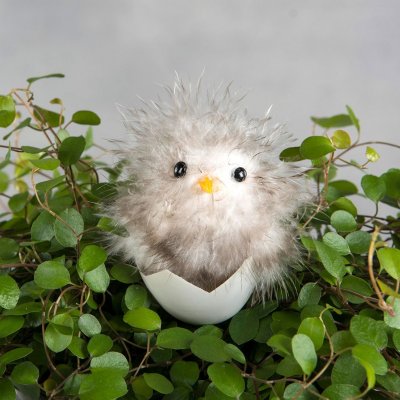 Kyckling på ägg stick Vit/brun 3,5x5cm