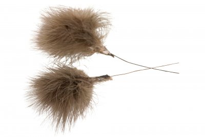 Fjäder Pudervippa 12-pack Mullvad