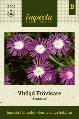 Frövisare Stardust