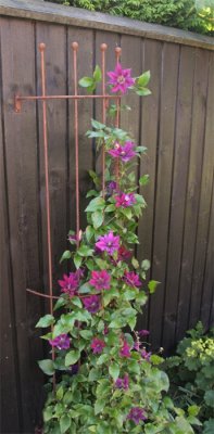 Spaljé Halvmåne Rost 170cm