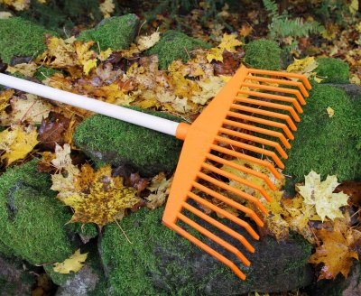 Räfsa Huvud Orange
