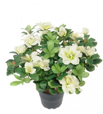 Azalea Vit 25cm, Konstgjord