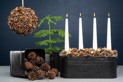 Tallkotte Brun/vit trådad 1-pack