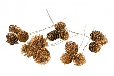 Lärkkotte Guld knippe på tråd 3st