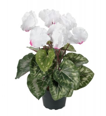 Cyklamen Vit/rosa 32cm, Konstgjord