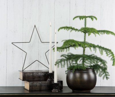 Stjärna Stomme Metall Brun 38cm