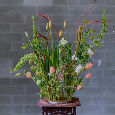 Blomsterfakir Kenzan The Ring 20cm