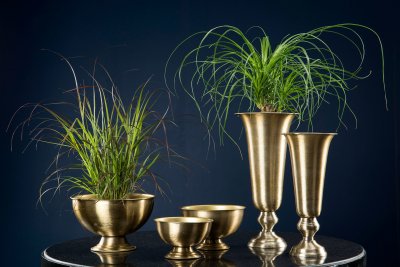 Pokal Tara Mässing 17x35cm