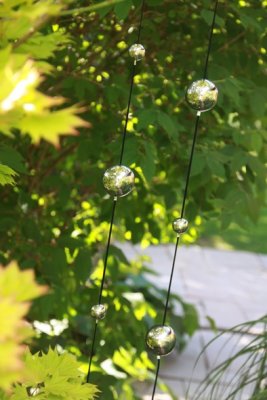 Dekoration Kosmos 78cm