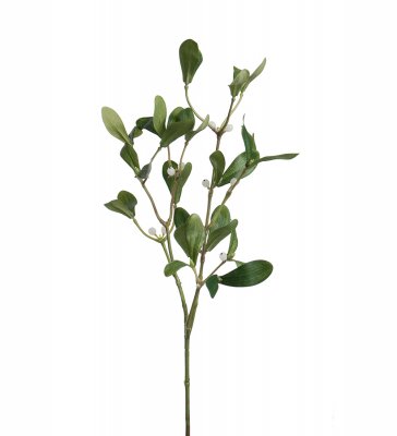 Mistel Grön 60cm