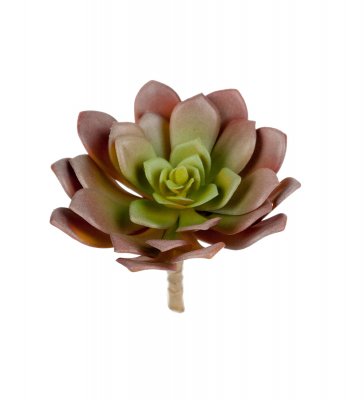 Succulent 14cm, Konstgjord